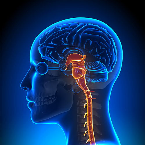 BRAIN AND NERVE SURGERY